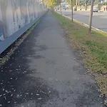 Cozy East-side * クルージュ＝ナポカ