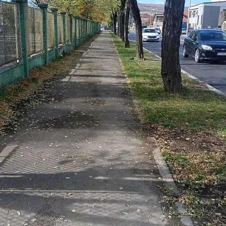 Cozy East-side 아파트 클루지나포카