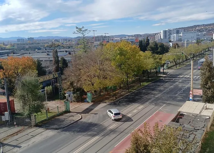 Cozy East-side Apartament