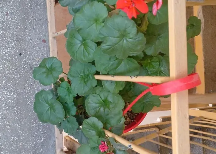 Cozy East-side * Cluj-Napoca